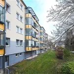 Rent 3 bedroom apartment of 59 m² in Chemnitz