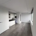 Rent 1 bedroom apartment of 50 m² in Utrecht