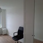 Rent 3 bedroom apartment of 60 m² in Szczecin