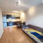 Rent 2 bedroom apartment of 39 m² in Piotrków Trybunalski