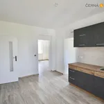 Pronajměte si 2 ložnic/e byt o rozloze 55 m² v Ústí nad Labem