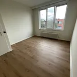 Rent 2 bedroom apartment in MERKSEM