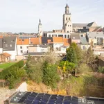 Huur 1 slaapkamer appartement in Tienen