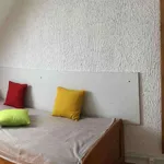 Rent 1 bedroom apartment of 13 m² in Chambéry