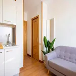 Rent a room of 391 m² in Madrid