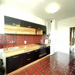 Rent 1 bedroom apartment of 130 m² in Capital City of Prague