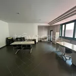 Rent 8 bedroom house of 460 m² in Prato