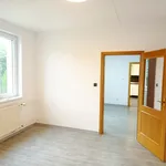 Rent 4 bedroom apartment in České Budějovice