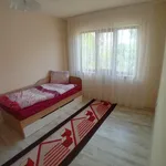 Rent 4 bedroom apartment of 95 m² in Кършияка