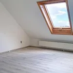 Rent 2 bedroom apartment in Grimbergen Humbeek