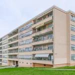 Rent 1 bedroom apartment in  Meyrin | Meyrin