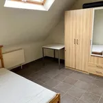 Rent 1 bedroom apartment in Leuven