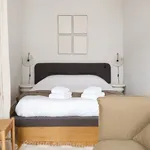 Rent 1 bedroom apartment of 31 m² in Porto