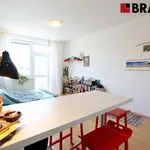 Pronajměte si 1 ložnic/e byt o rozloze 29 m² v Brno