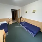 Rent 1 bedroom apartment of 20 m² in Brno