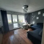 Rent 3 bedroom apartment of 55 m² in Bydgoszcz