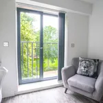 Rent 1 bedroom student apartment of 26 m² in Leicester