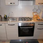 Rent 2 bedroom apartment of 50 m² in Turin