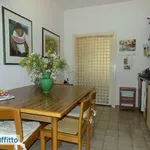 Rent 5 bedroom apartment of 110 m² in Bologna