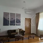 Rent 5 bedroom apartment of 350 m² in Roma