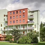 Rent 1 bedroom apartment of 35 m² in Brno