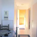 Rent 2 bedroom apartment of 32 m² in San-Nicolao