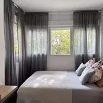 Rent 5 bedroom apartment in Madrid