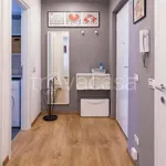 Rent 1 bedroom apartment of 28 m² in Milano