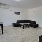 Rent 3 bedroom apartment of 100 m² in Каменица 1