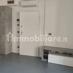 Rent 1 bedroom apartment of 43 m² in Turin