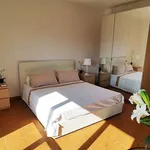 Rent 1 bedroom apartment of 35 m² in Roma