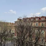 Rent 2 bedroom apartment of 60 m² in Torino