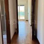 Rent 3 bedroom apartment of 90 m² in Bologna