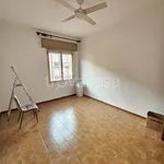 Rent 4 bedroom apartment of 100 m² in Bologna