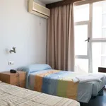 Rent 1 bedroom apartment in madrid