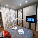 Rent 2 bedroom apartment of 50 m² in Torino