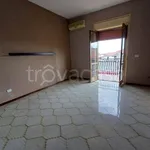 Affitto 3 camera appartamento di 110 m² in Catania