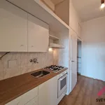 Rent 1 bedroom apartment in Prague