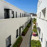 Rent 5 bedroom apartment of 80 m² in Cologne