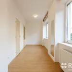 Rent 2 bedroom apartment in Brno