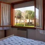 Rent 3 bedroom apartment of 60 m² in Follonica