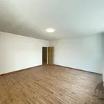 Pronajměte si 1 ložnic/e byt o rozloze 65 m² v Capital City of Prague