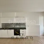 Rent 3 bedroom apartment of 80 m² in Padova