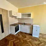 Rent 1 bedroom apartment in Vrchlabí