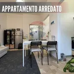 Rent 2 bedroom apartment of 50 m² in Milano