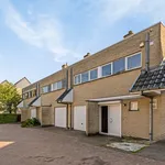 Huur 3 slaapkamer huis van 185 m² in Grimbergen