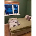 Rent a room in dublin