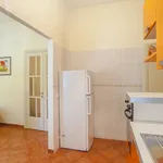 Rent 3 bedroom apartment of 83 m² in Roma