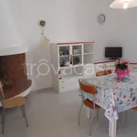 Rent 3 bedroom apartment of 110 m² in Castrignano del Capo