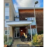 Rent 3 bedroom apartment in East Of England